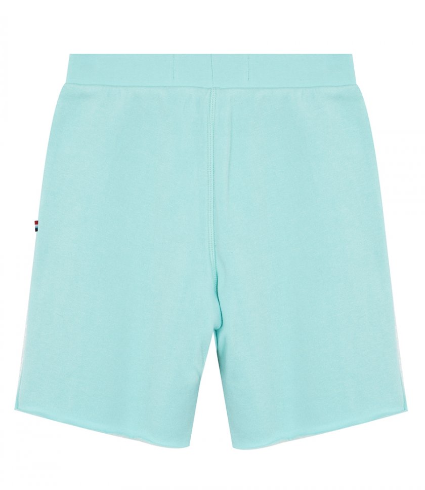 MINERAL BOY SHORT