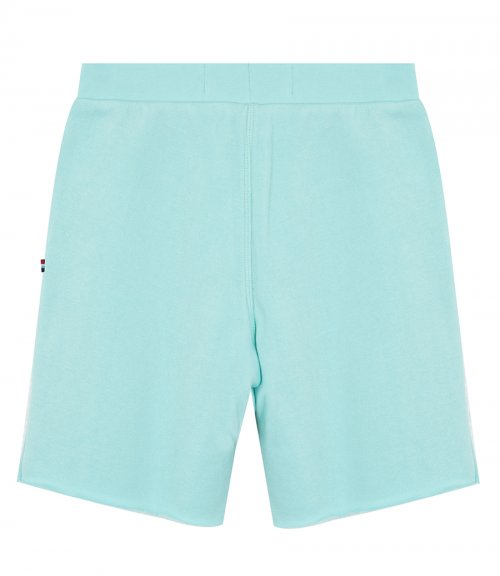 MINERAL BOY SHORT