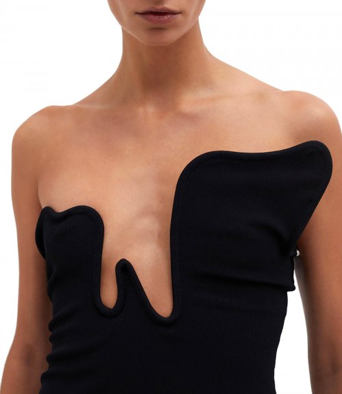 SALACIA WIRE STRAPLESS TOP