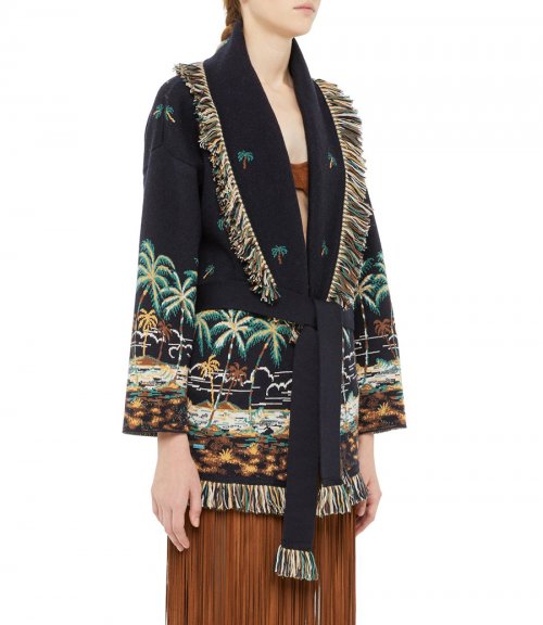 THE TALE OF A HAWAIIAN CARDIGAN