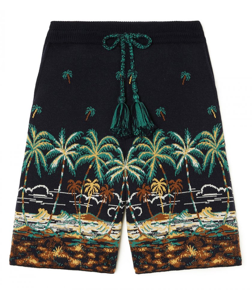 JUST IN - THE TALE OF A HAWAIIAN SHORTS