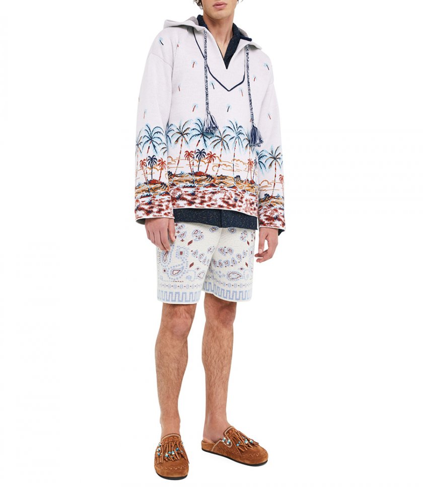 THE TALE OF HAWAIIAN HOODIE